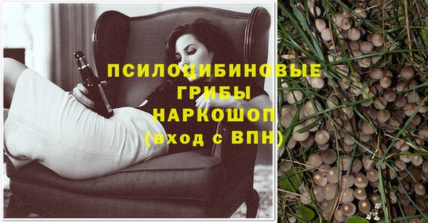 кокс Аркадак
