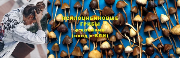 ECSTASY Балабаново