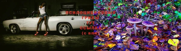 ECSTASY Балабаново